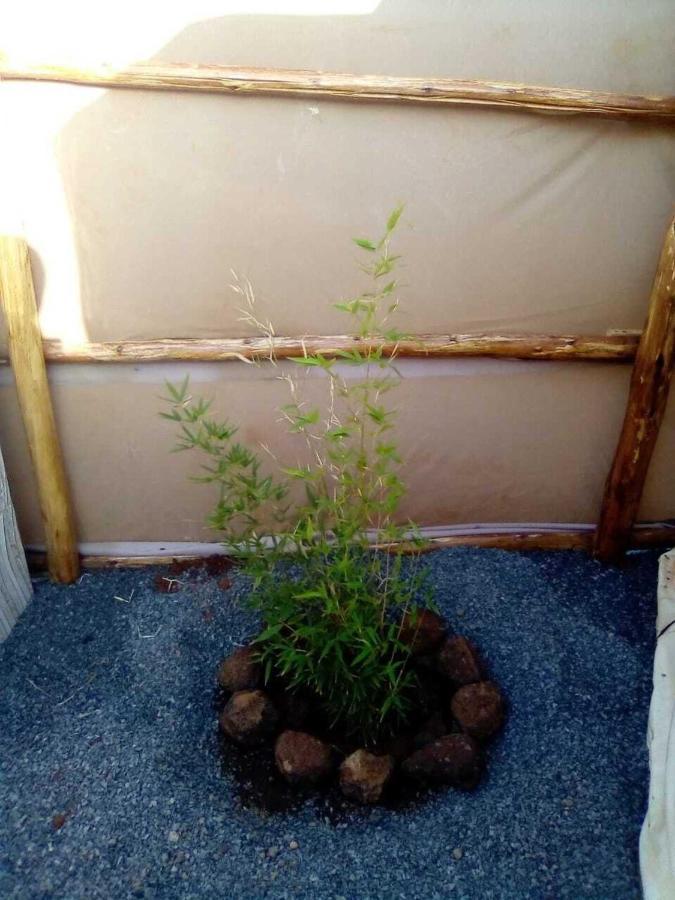 Amanya 1-Bed Leopard Tent Amboseli Exterior photo